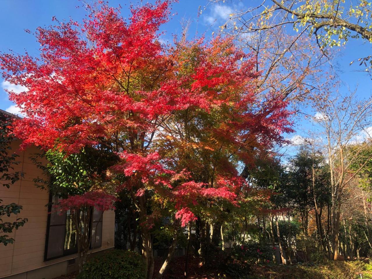 Bed and Breakfast Yufuin Hoshinosato Exterior foto